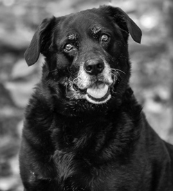 Baily Headshot Photo